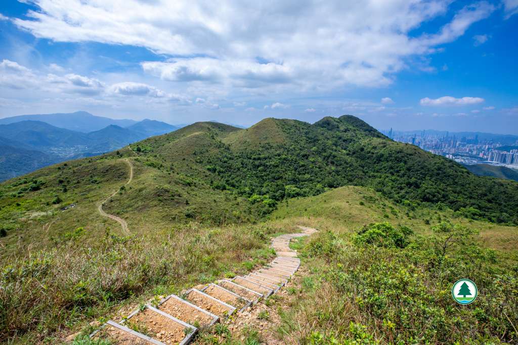 路徑—紅花嶺郊遊徑